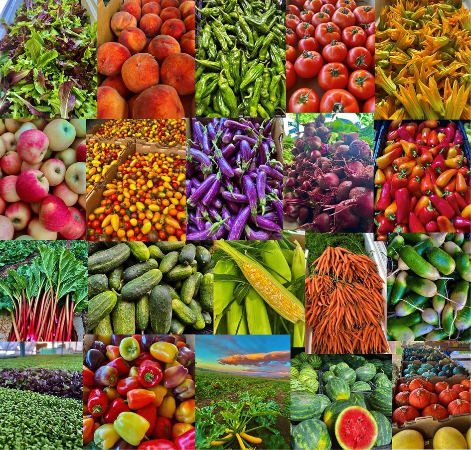 Ollin Farms collage